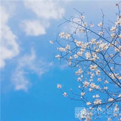 伏魔者2百度版下载