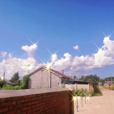 梦想猎人变态版下载