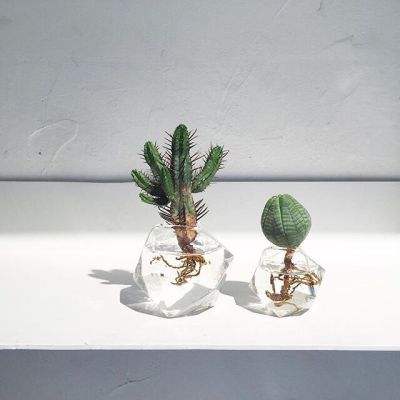 战春秋手游测试版下载